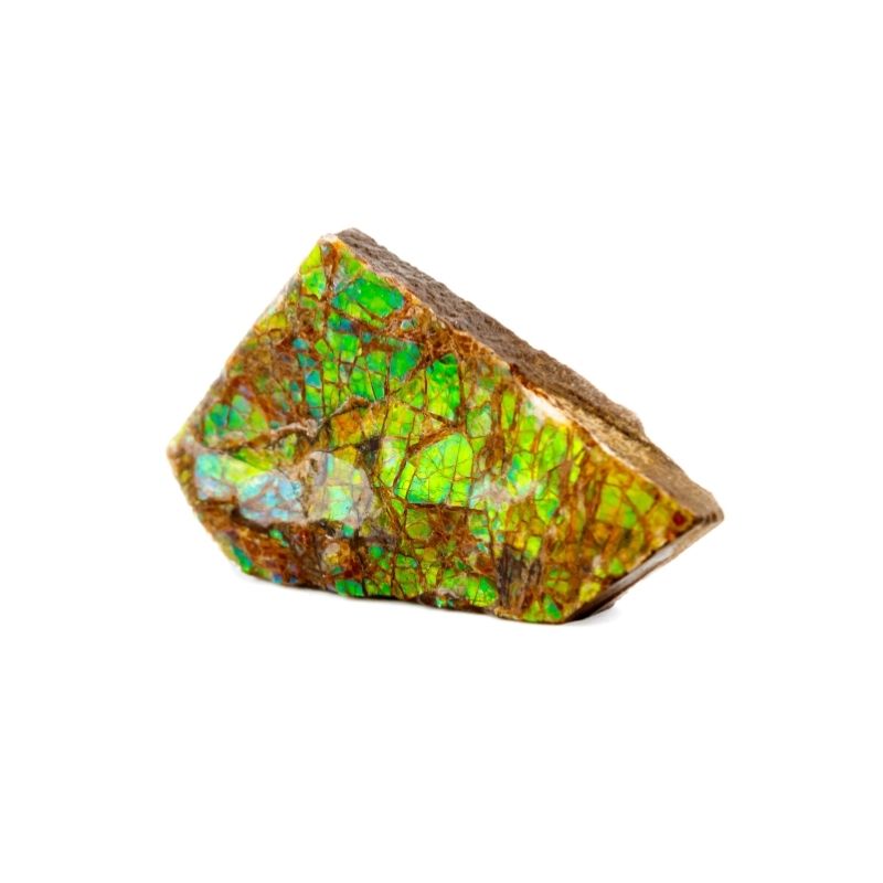 ammolite