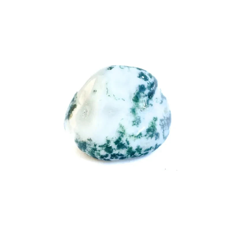 Agate Arbre
