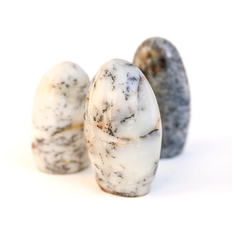 Agate Dendritique