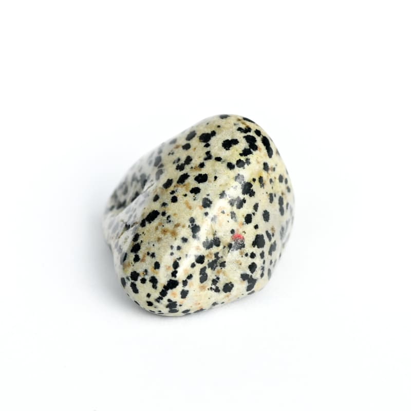 Jaspe Dalmatien