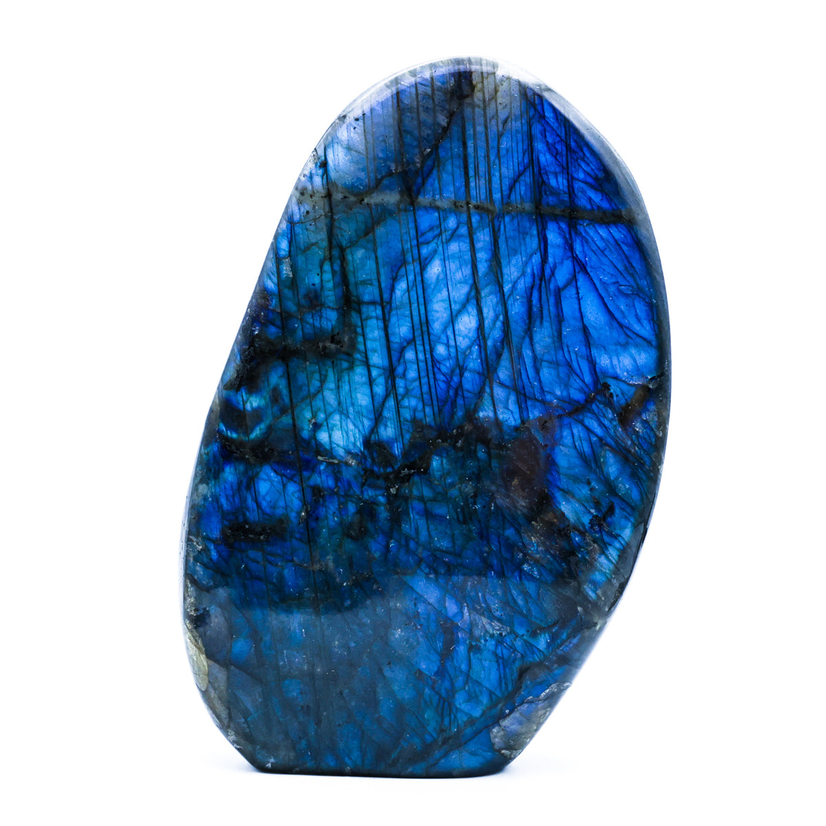Labradorite Bleue Flash, Forme libre
