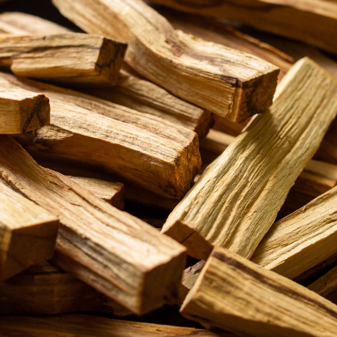 Palo Santo (Bursera Graveolens) du Pérou