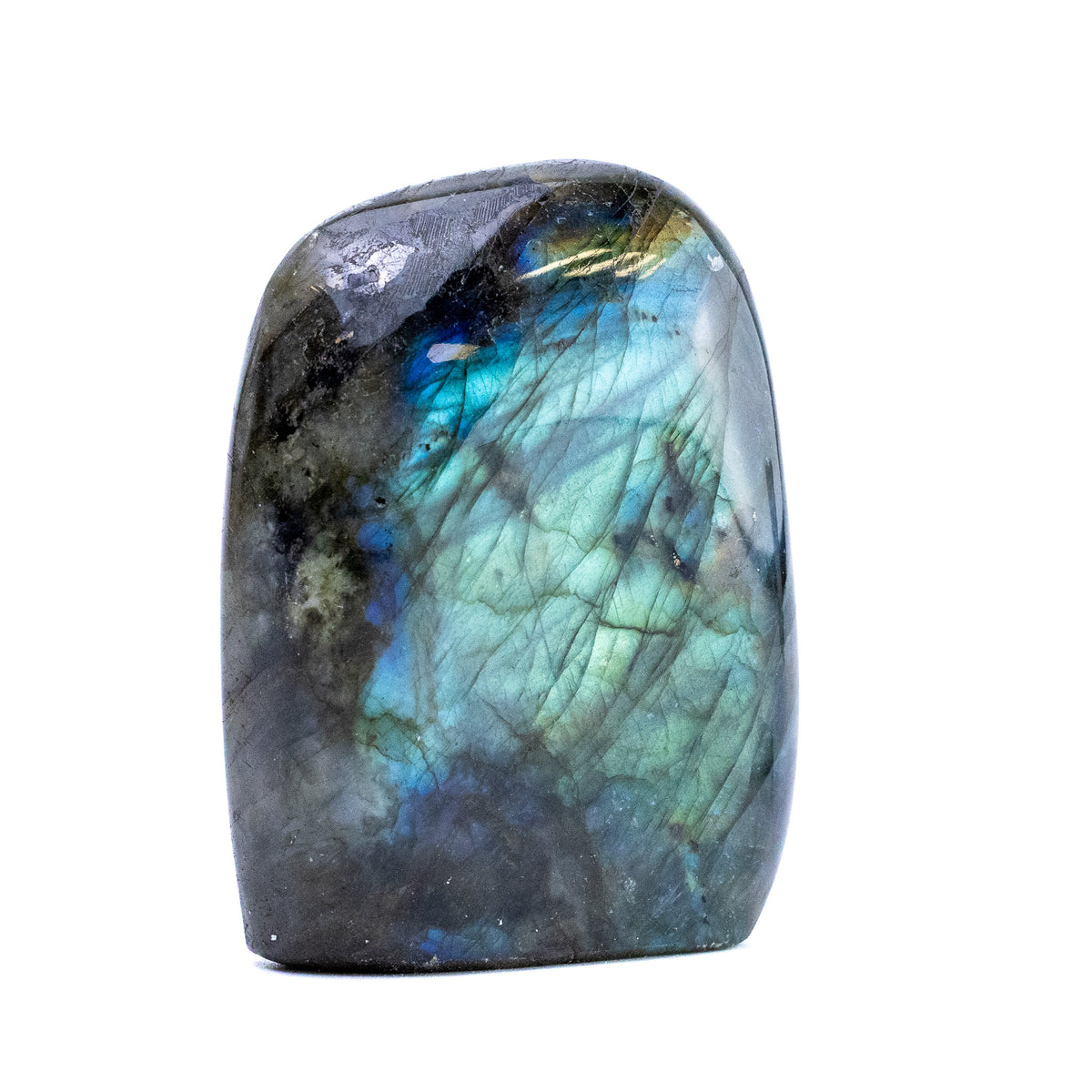 Labradorite Bleue Flash, Forme libre