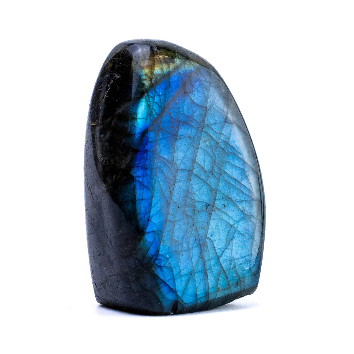 Labradorite Bleue Flash, Forme libre
