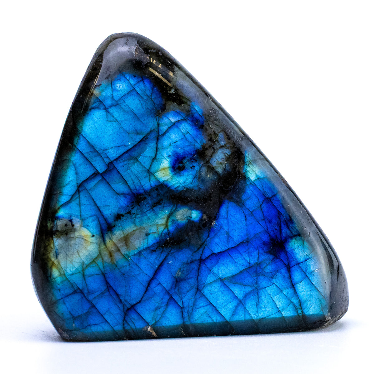 Labradorite Bleue Flash, Forme libre