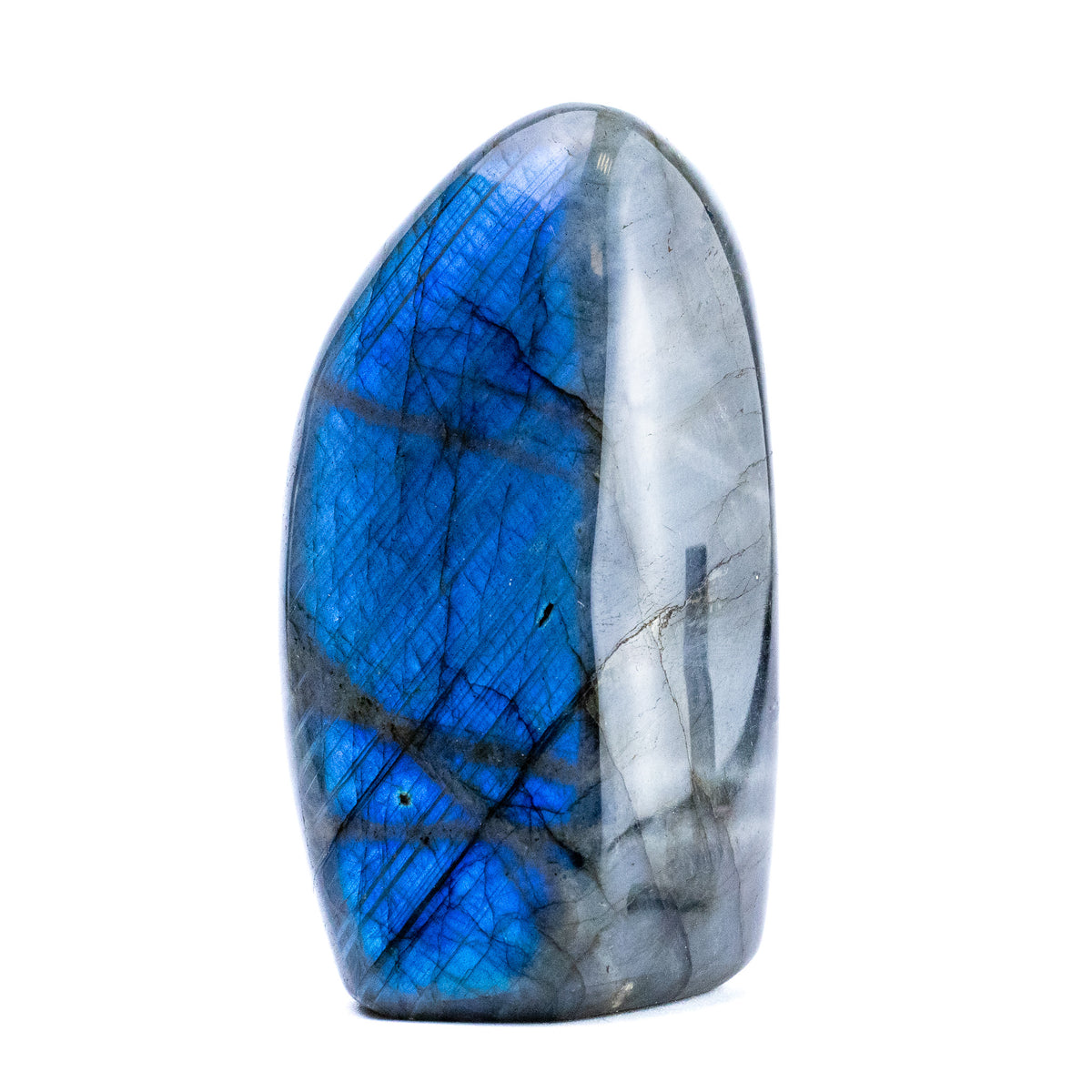 Labradorite Bleue Flash, Forme libre