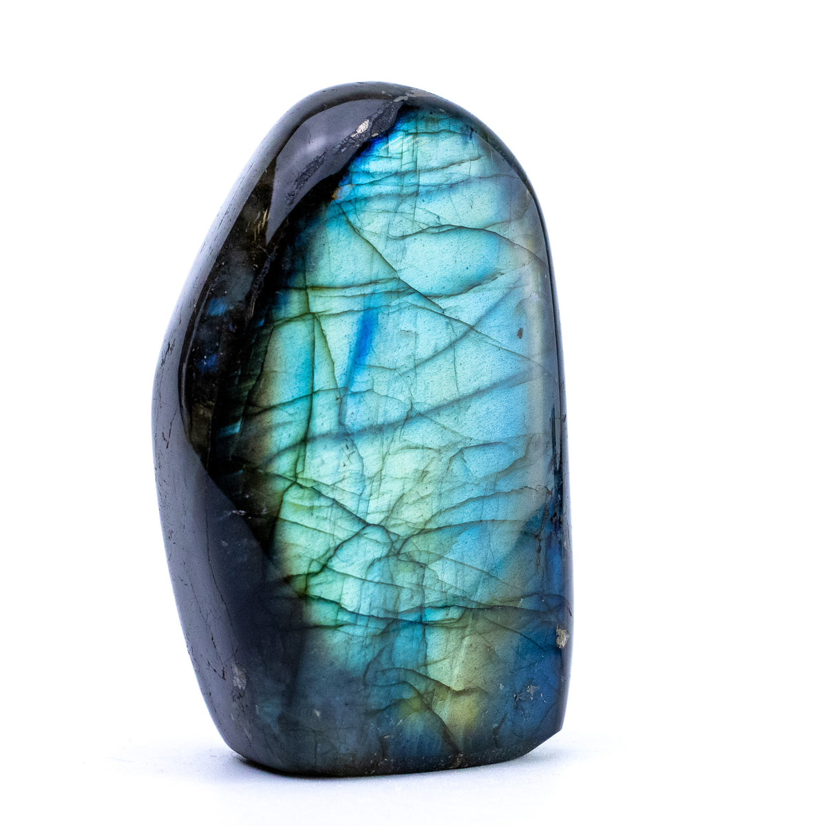 Labradorite Bleue Flash, Forme libre