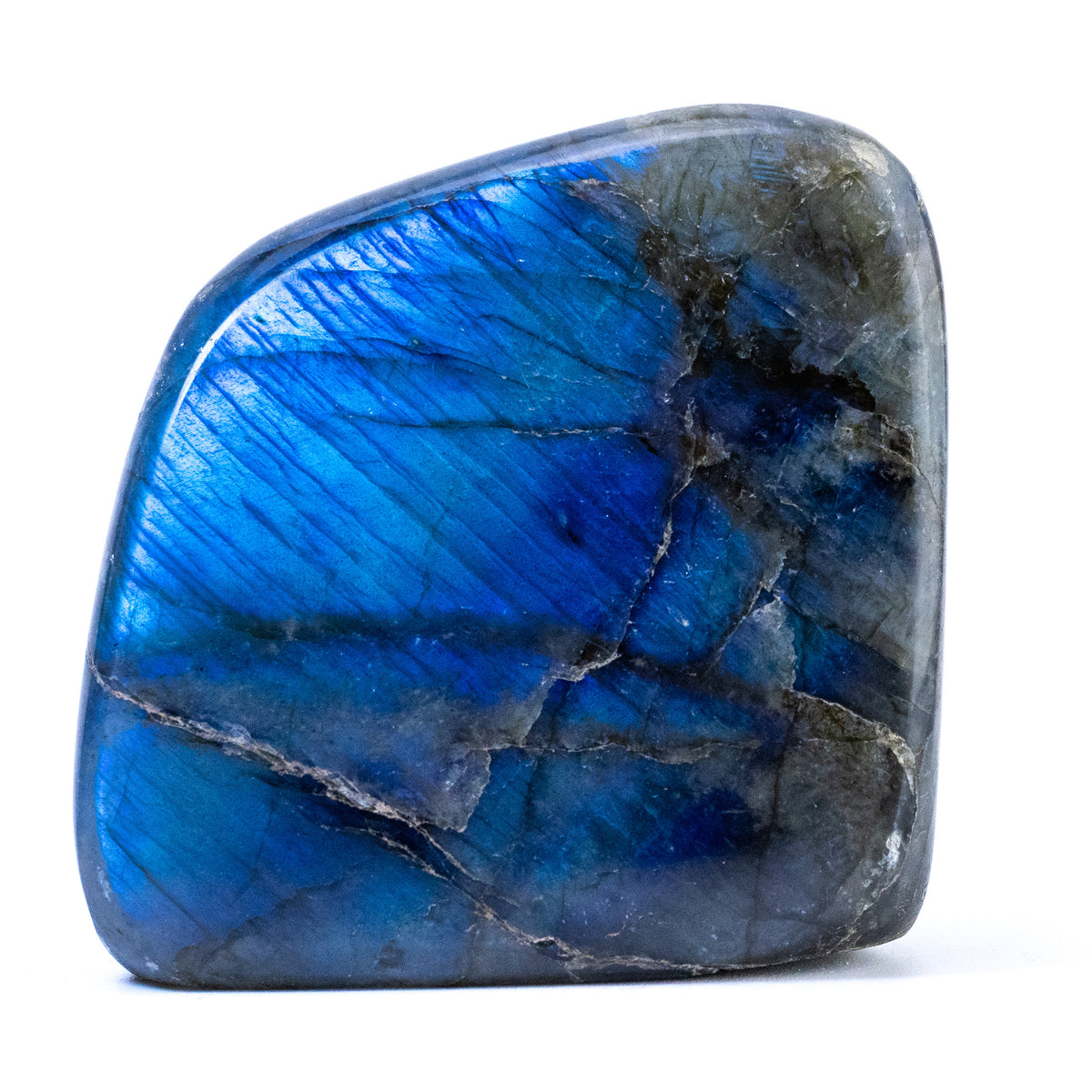 Labradorite Bleue Flash, Forme libre