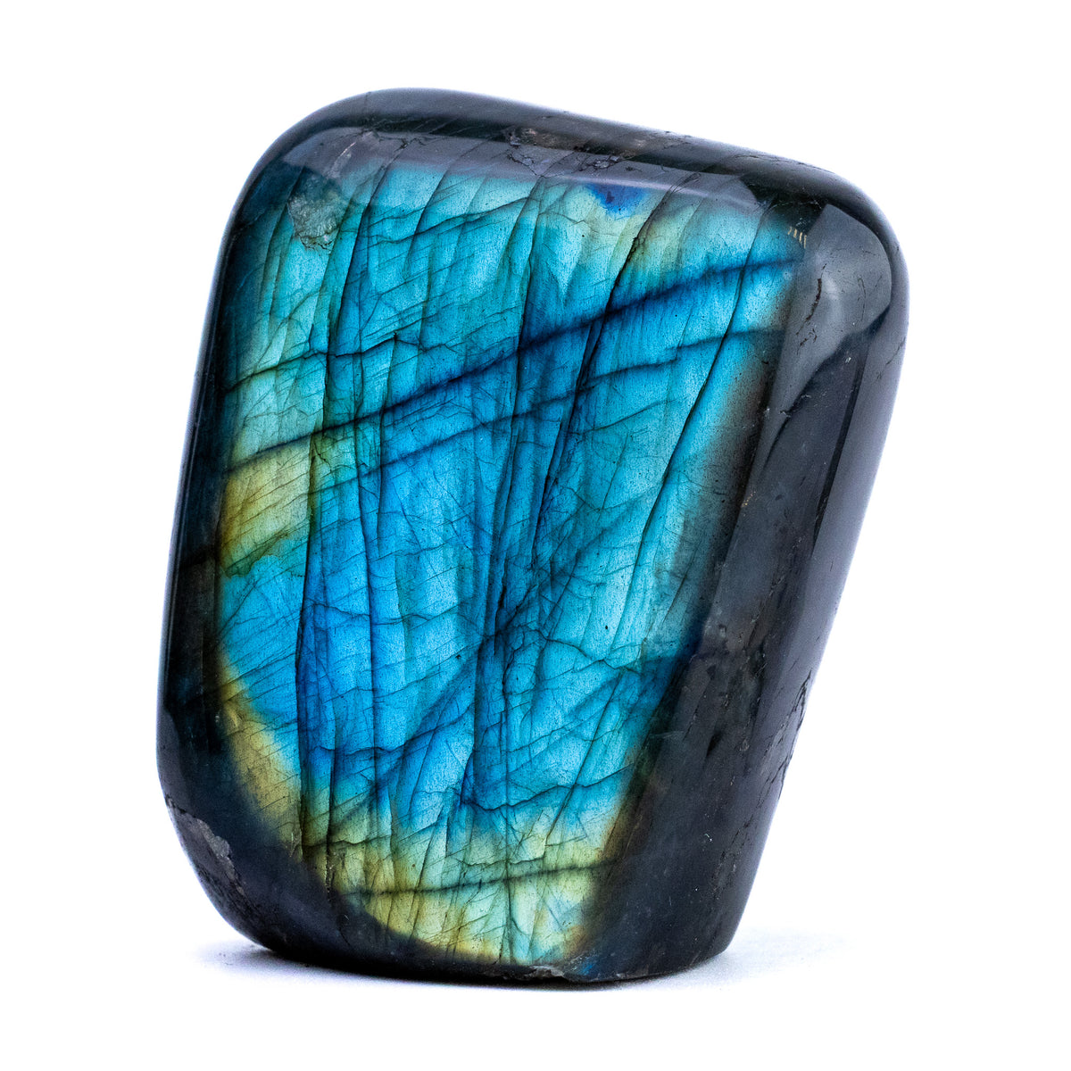 Labradorite Bleue Flash, Forme libre