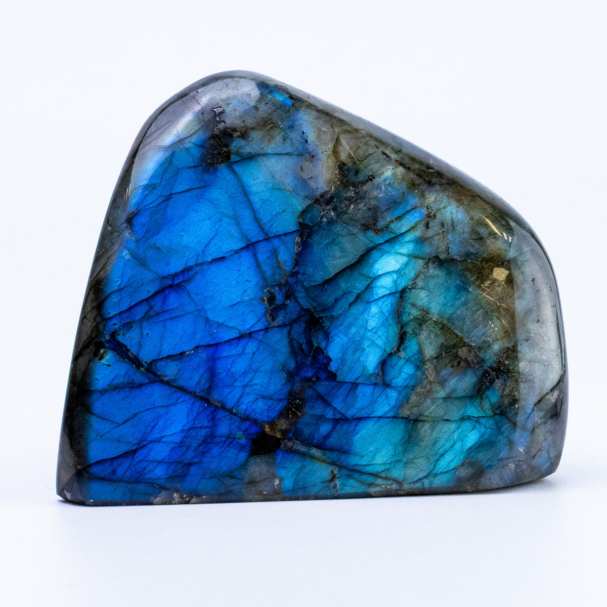 Labradorite Bleue Flash, Forme libre