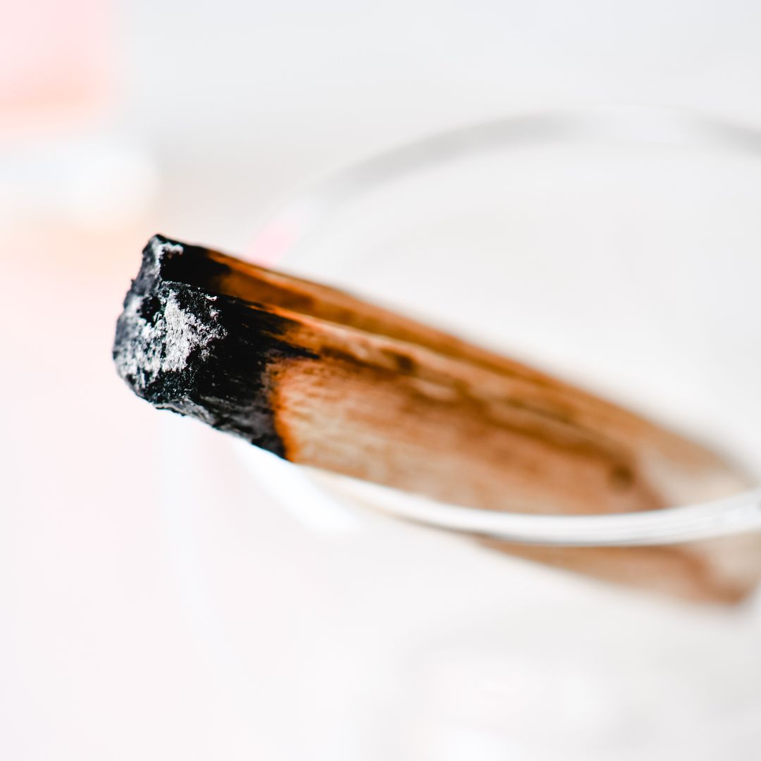 Palo Santo (Bursera Graveolens) du Pérou