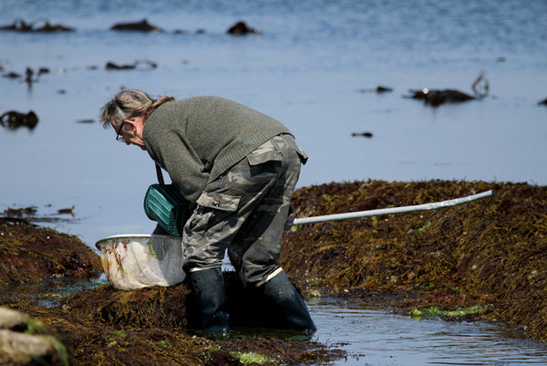 ormeau univers mineral