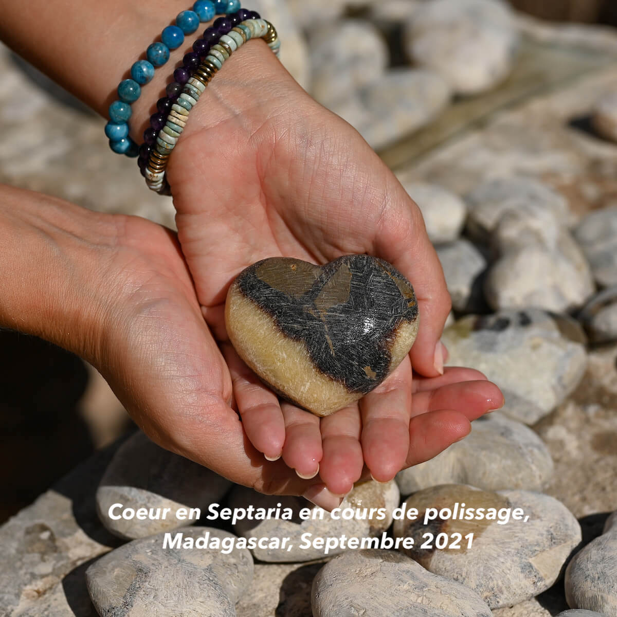 septaria univers mineral