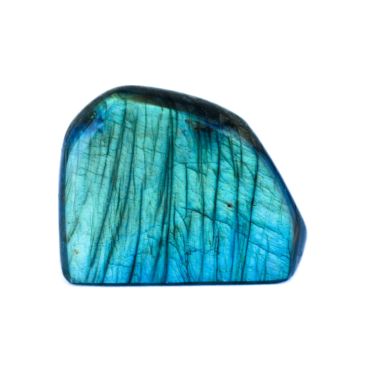 Labradorite Bleue Flash, Forme libre