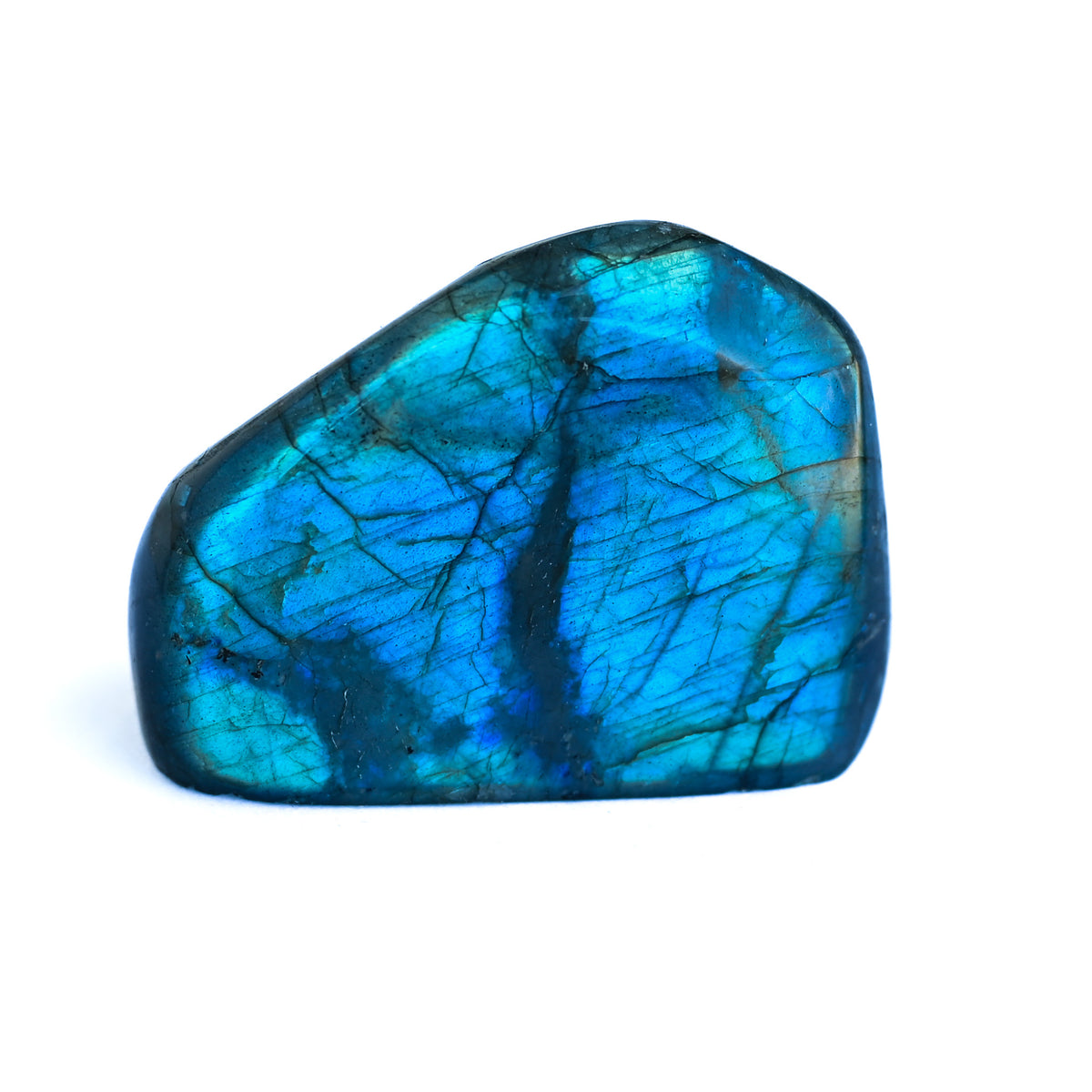 Labradorite Bleue Flash, Forme libre