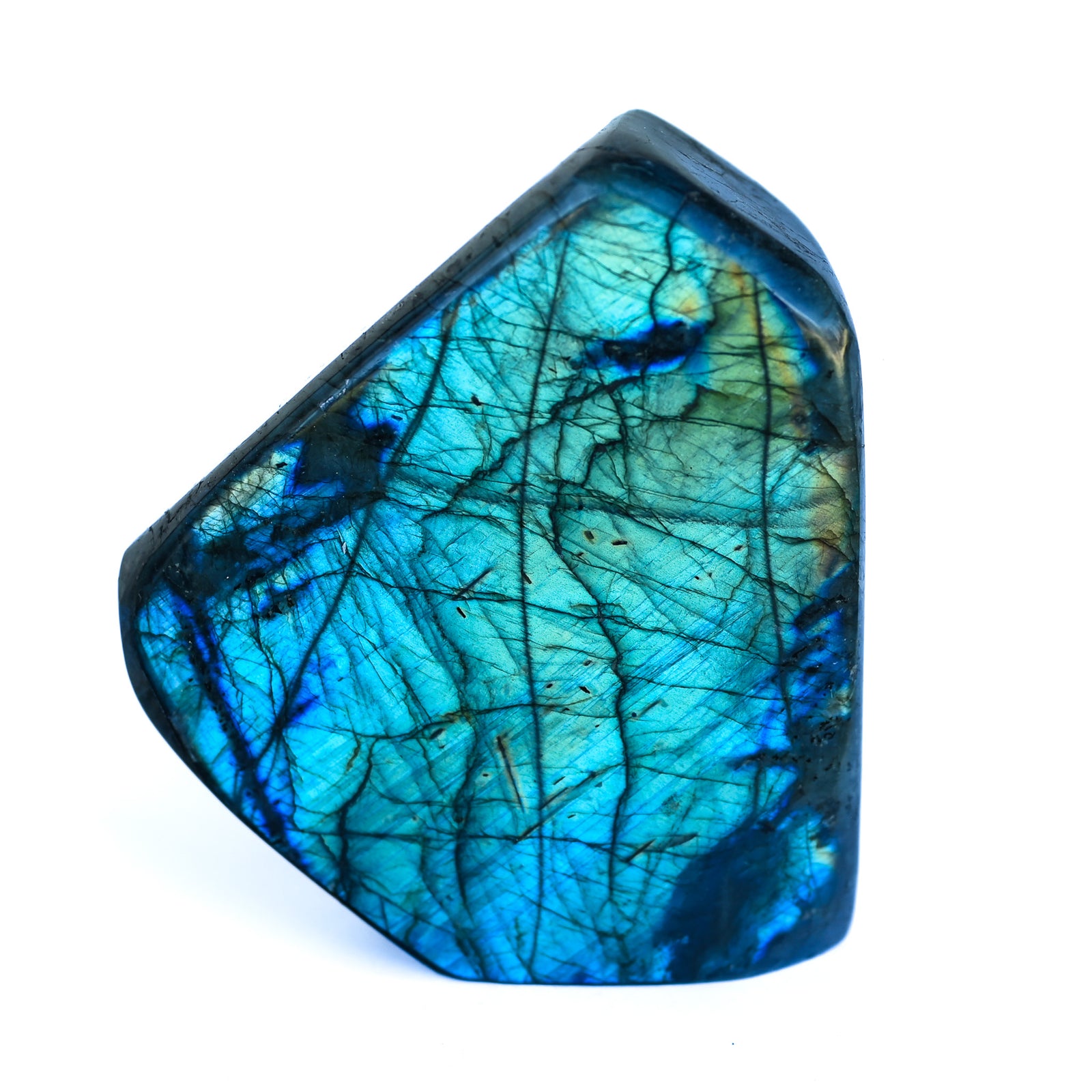 Labradorite Bleue Flash, Forme libre