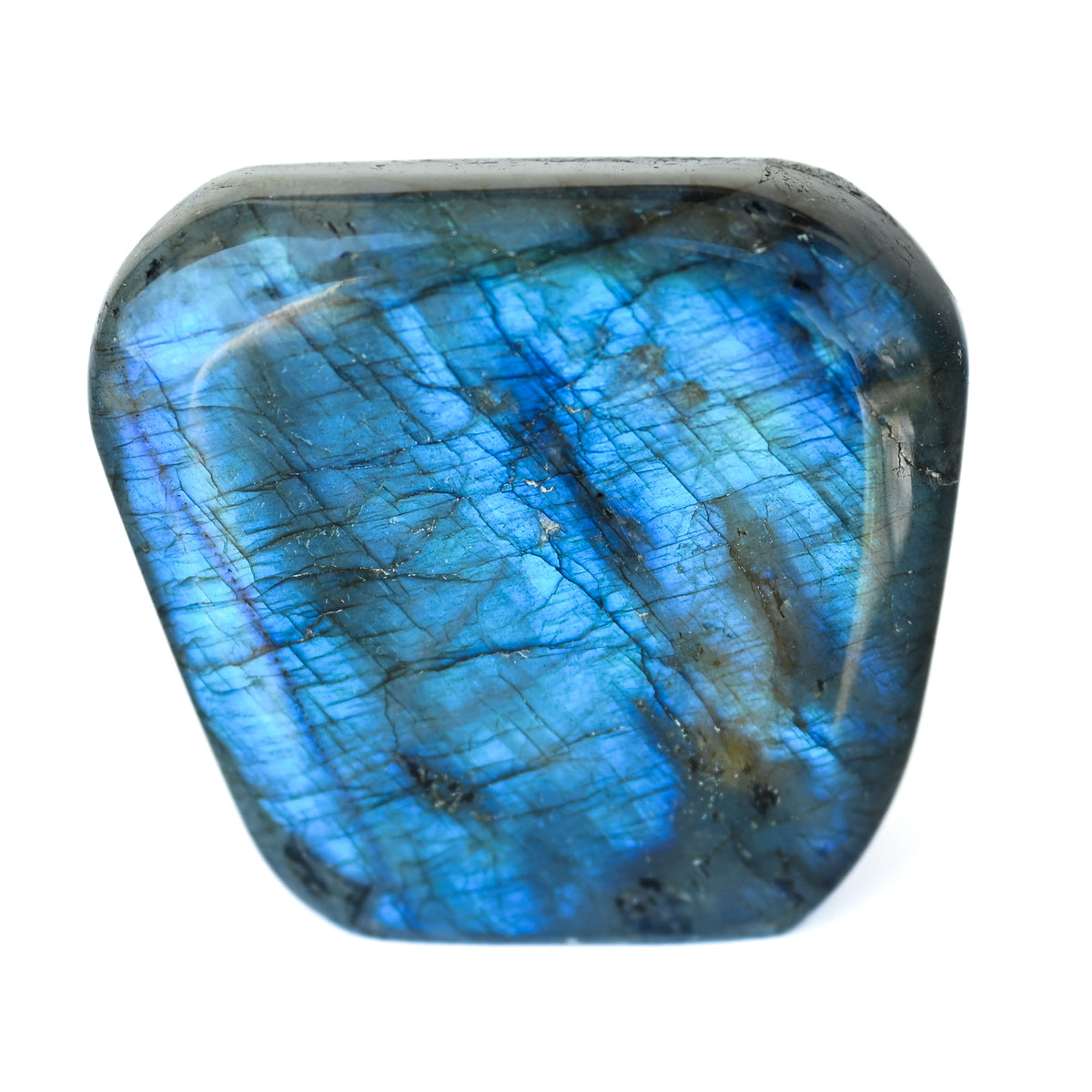 Labradorite Bleue Flash, Forme libre