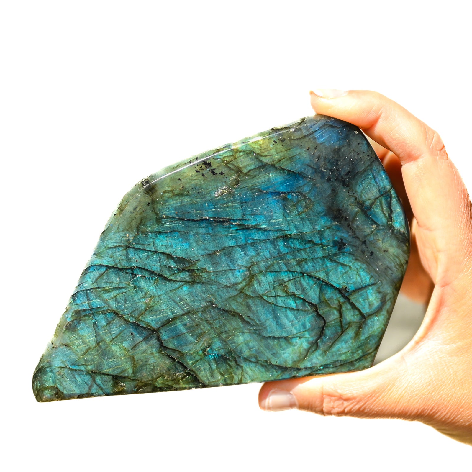 Labradorite Bleue Flash, Forme libre