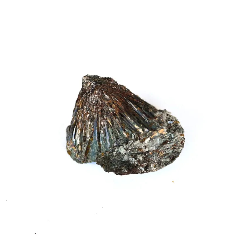 Astrophyllite Brute