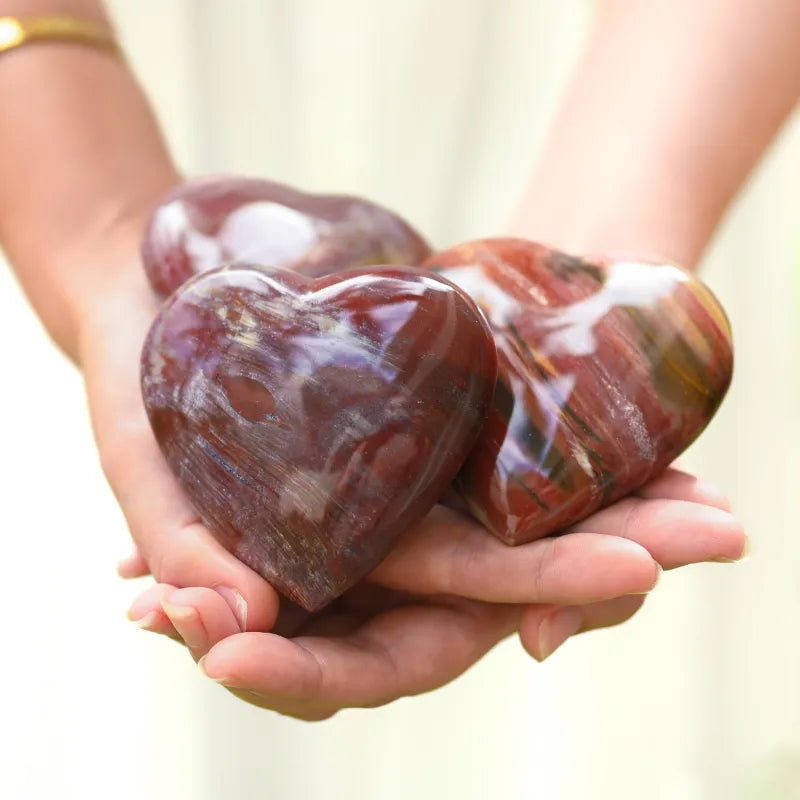 Bois Pétrifié - Coeur