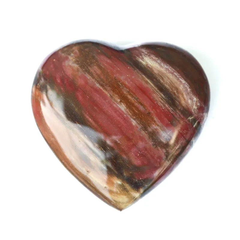 Bois Pétrifié - Coeur