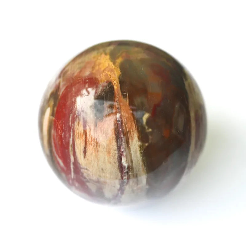 Bois Pétrifié - Sphère