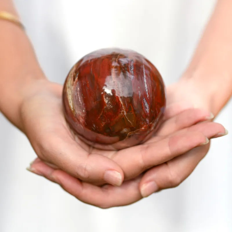 Bois Pétrifié - Sphère