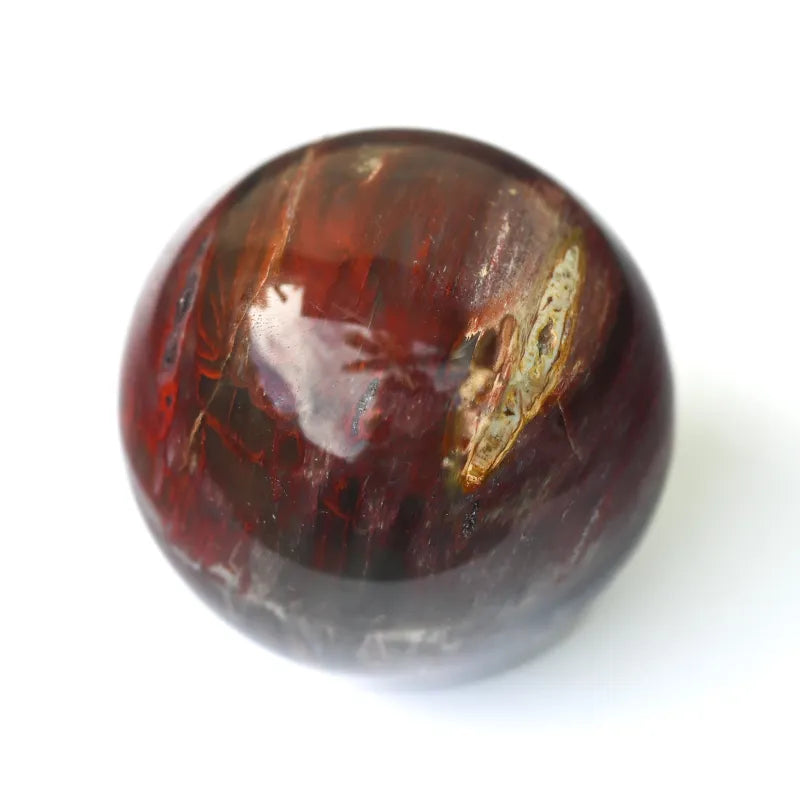 Bois Pétrifié - Sphère