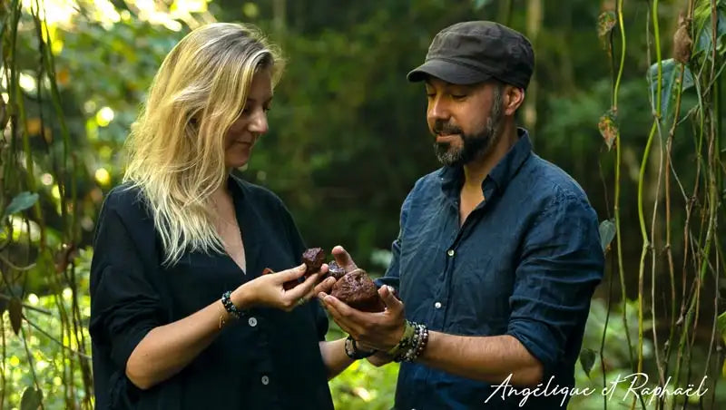 Calebasses de cacao brun foncé à texture rugueuse tenues dans les mains