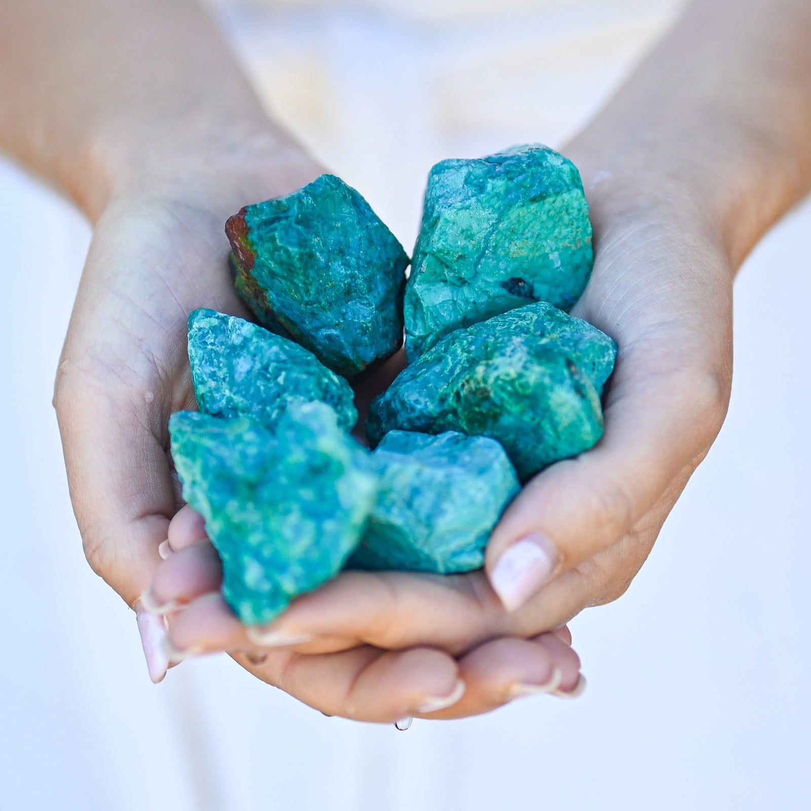 Chrysocolle brute