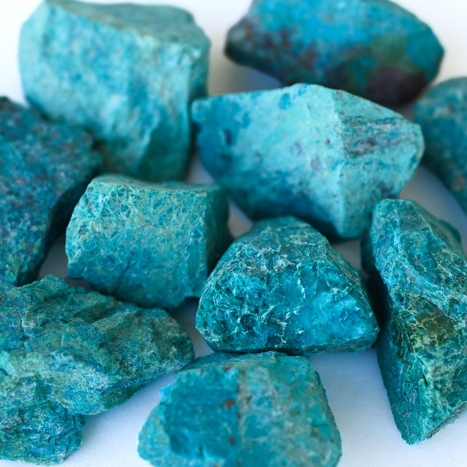 Chrysocolle brute