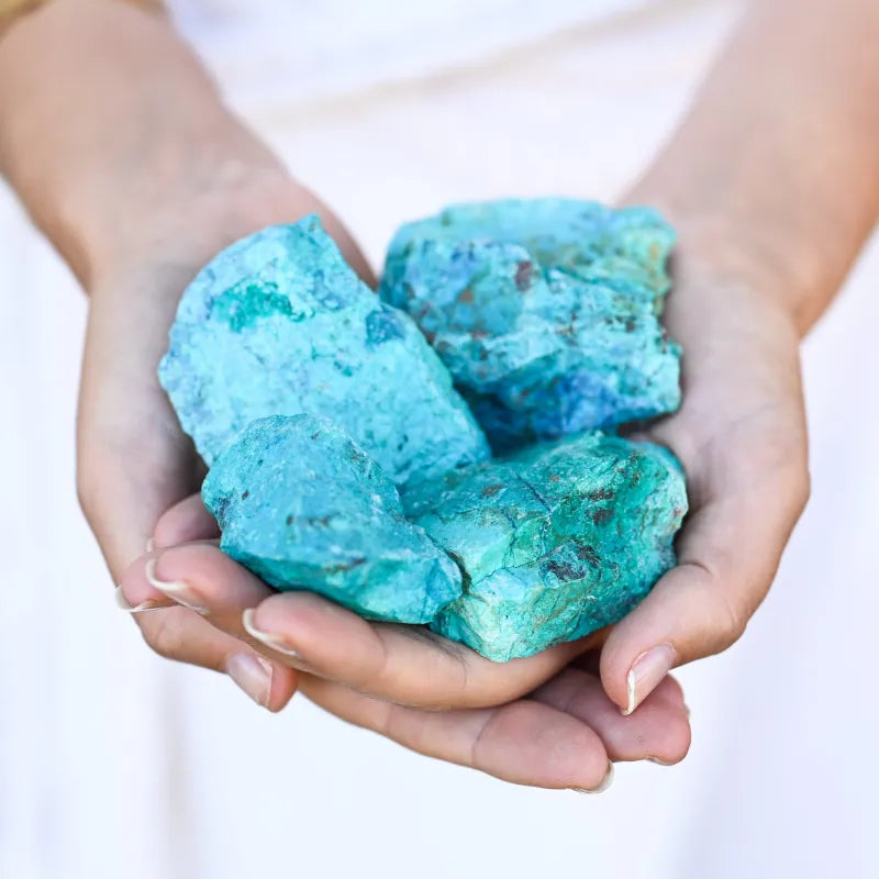 Chrysocolle brute