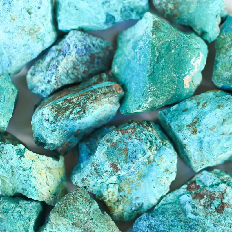 Chrysocolle brute