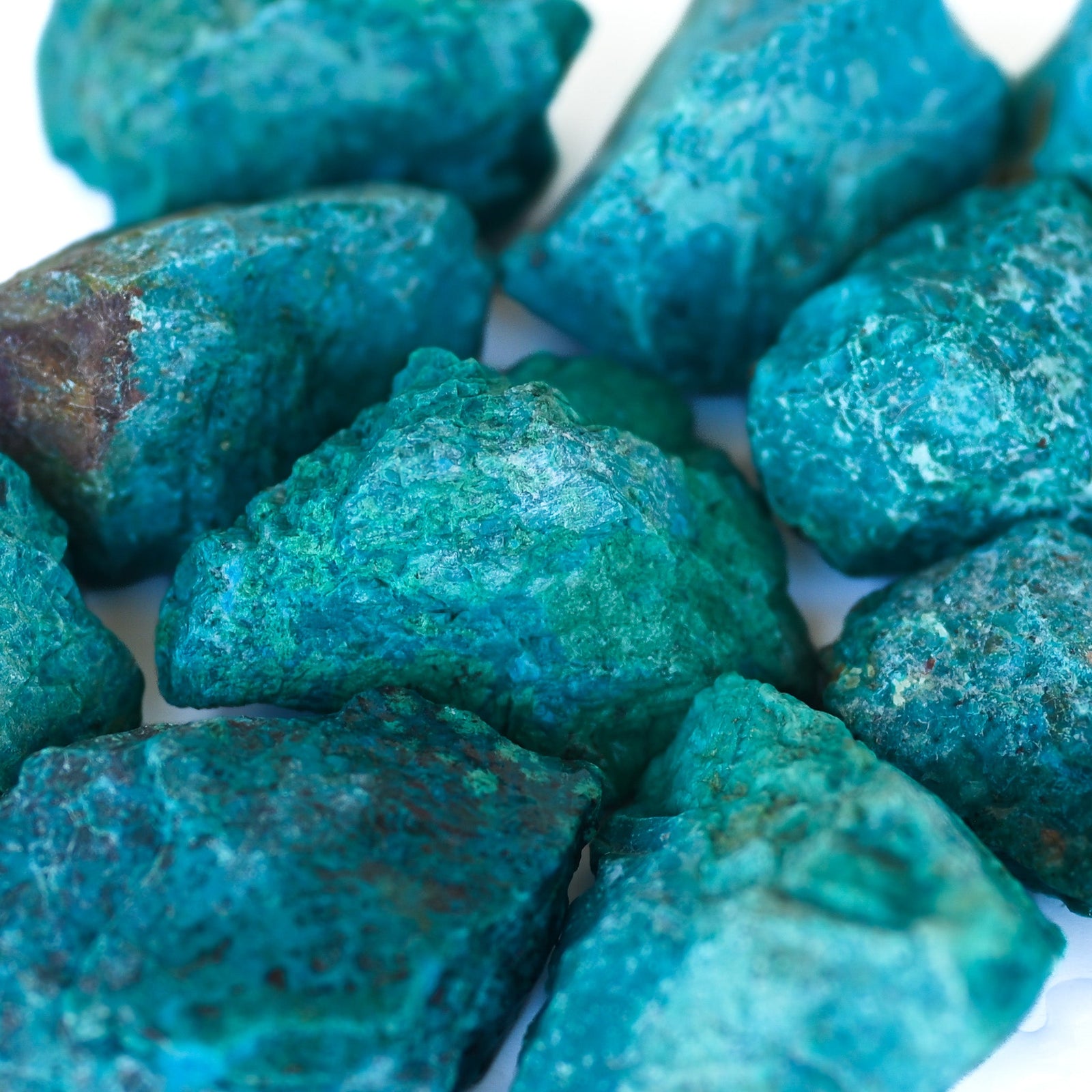 Chrysocolle brute