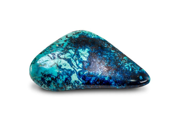 chrysocolle