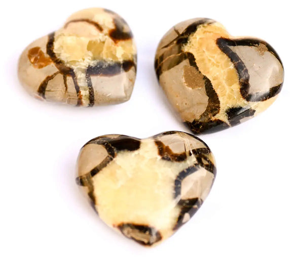 coeur septaria