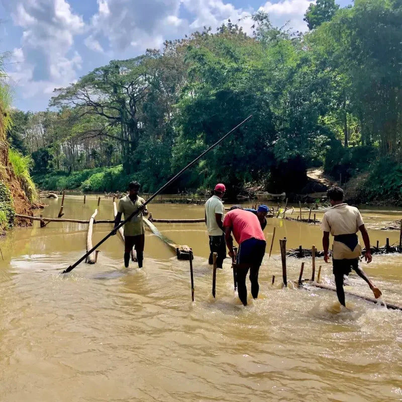 Collier Pierre de Lune Cabochon