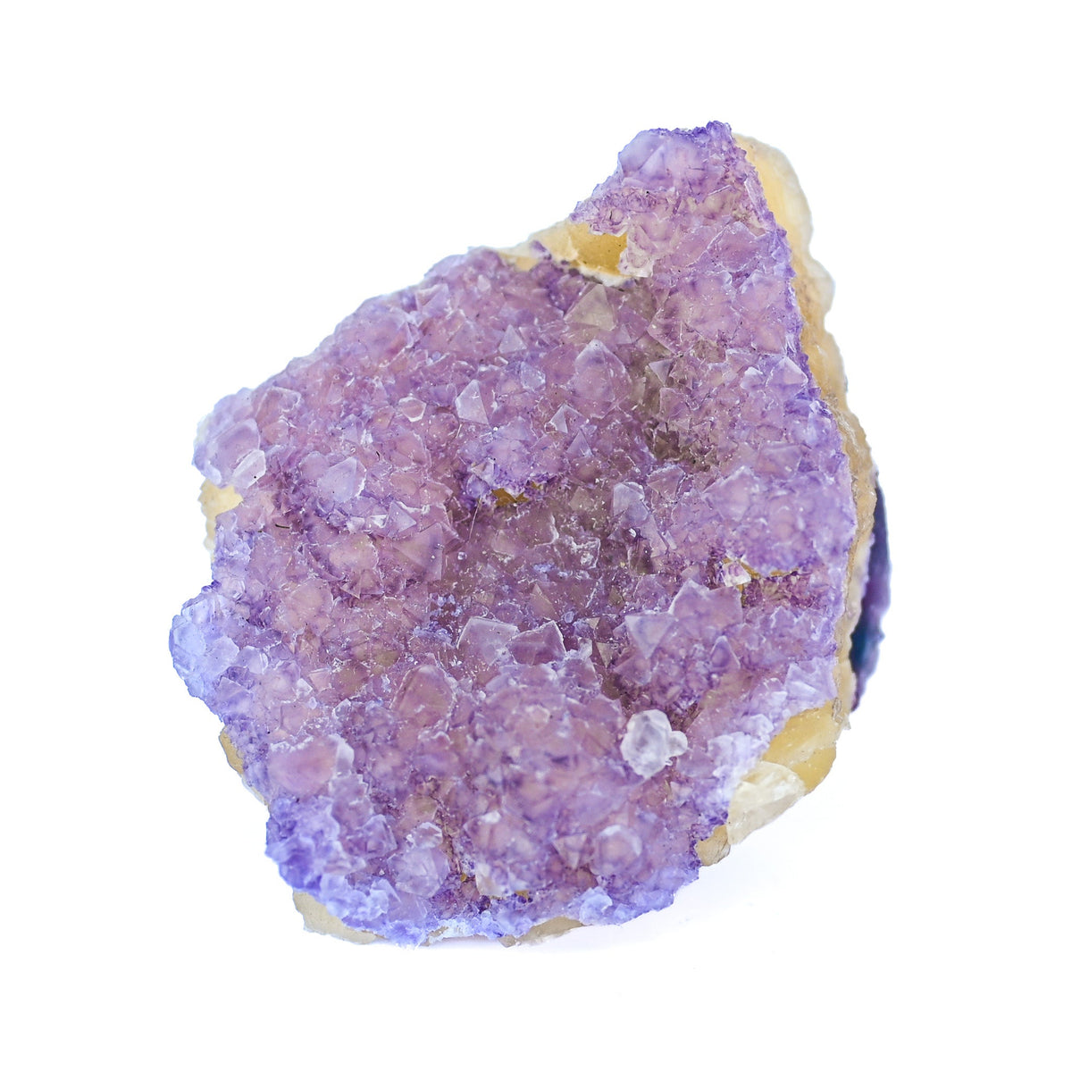 Fluorine multicolore