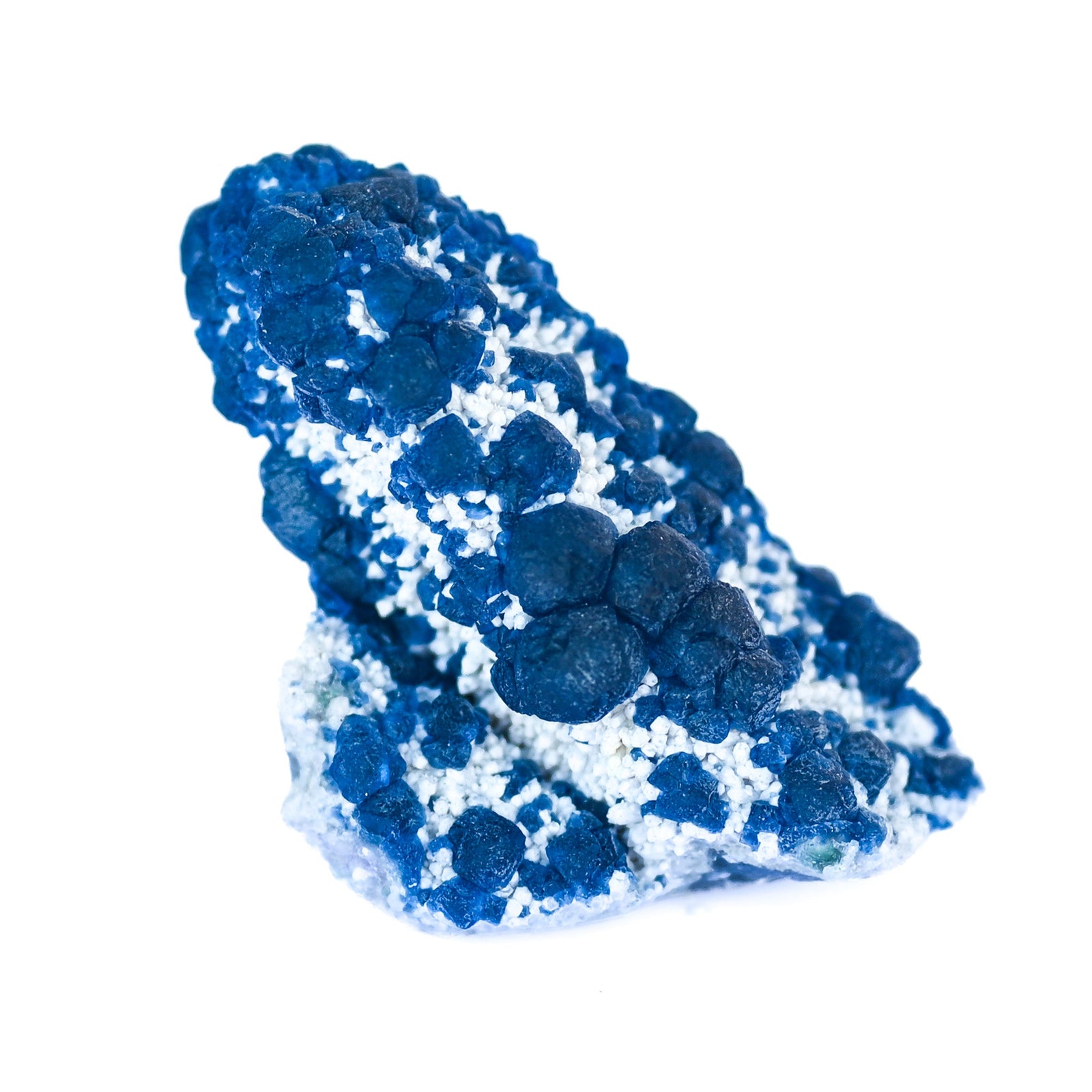 Fluorine Myrtille