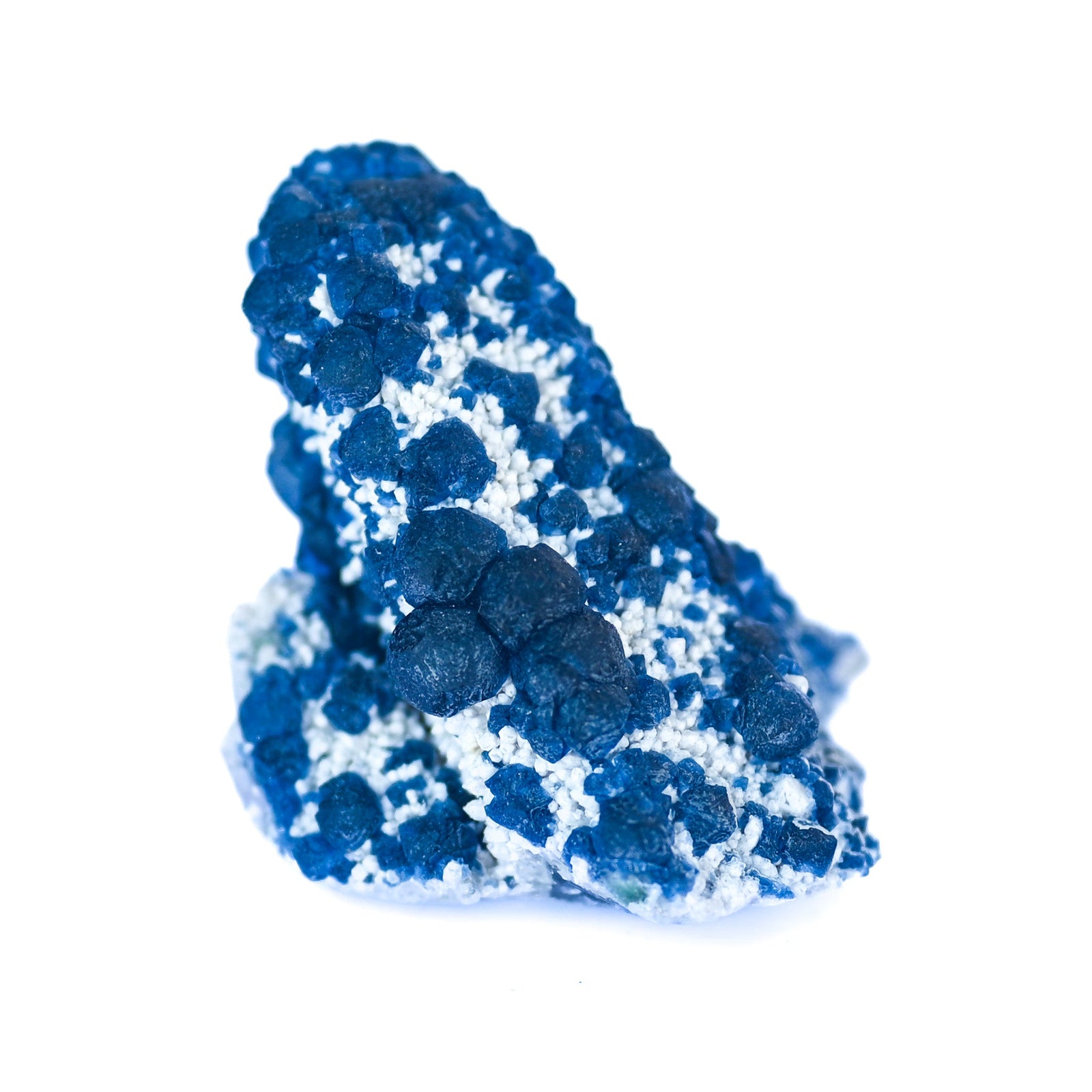 Fluorine Myrtille