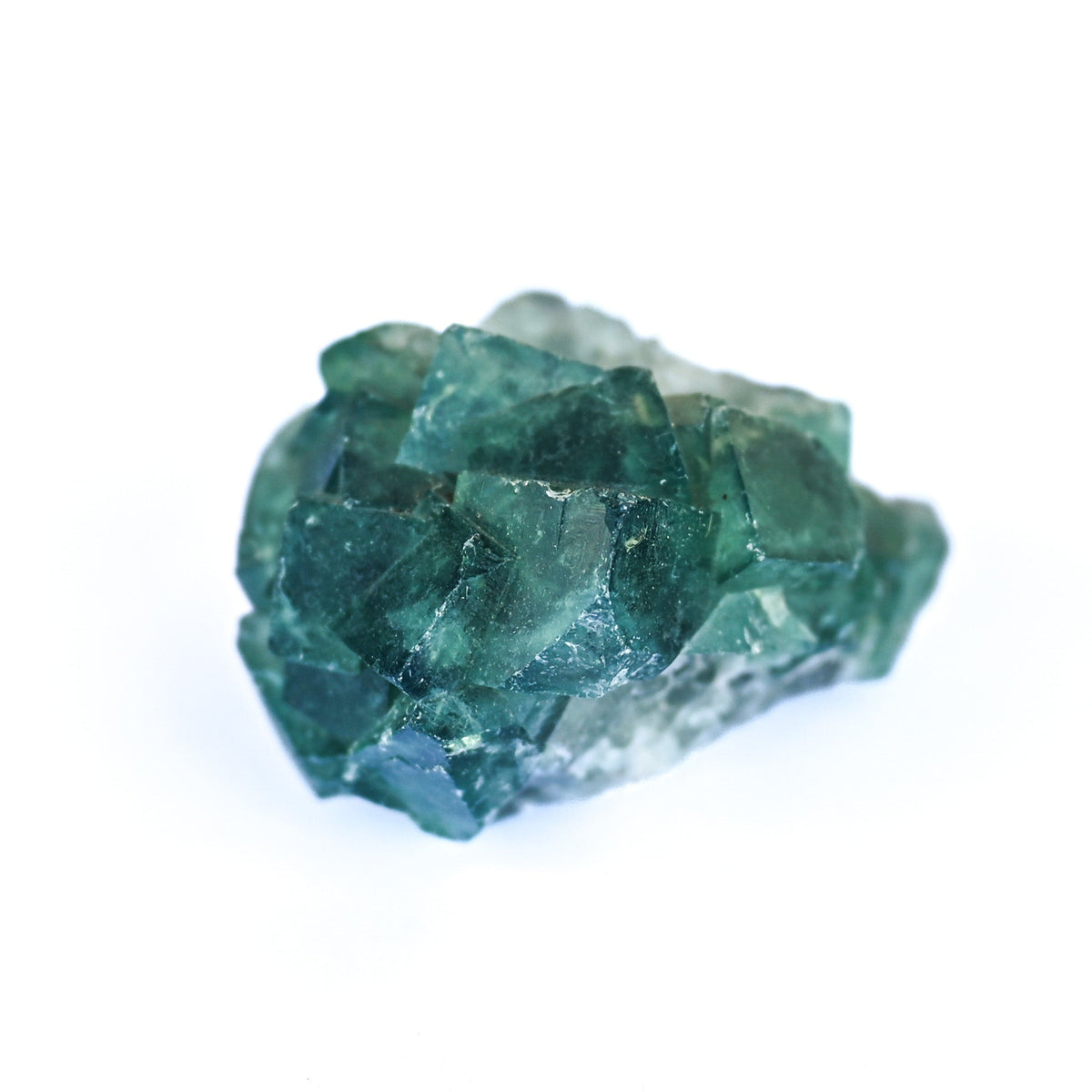 Fluorine Verte