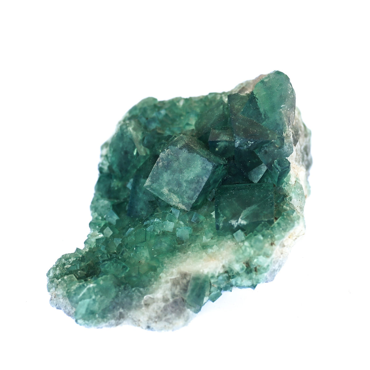 Fluorine Verte