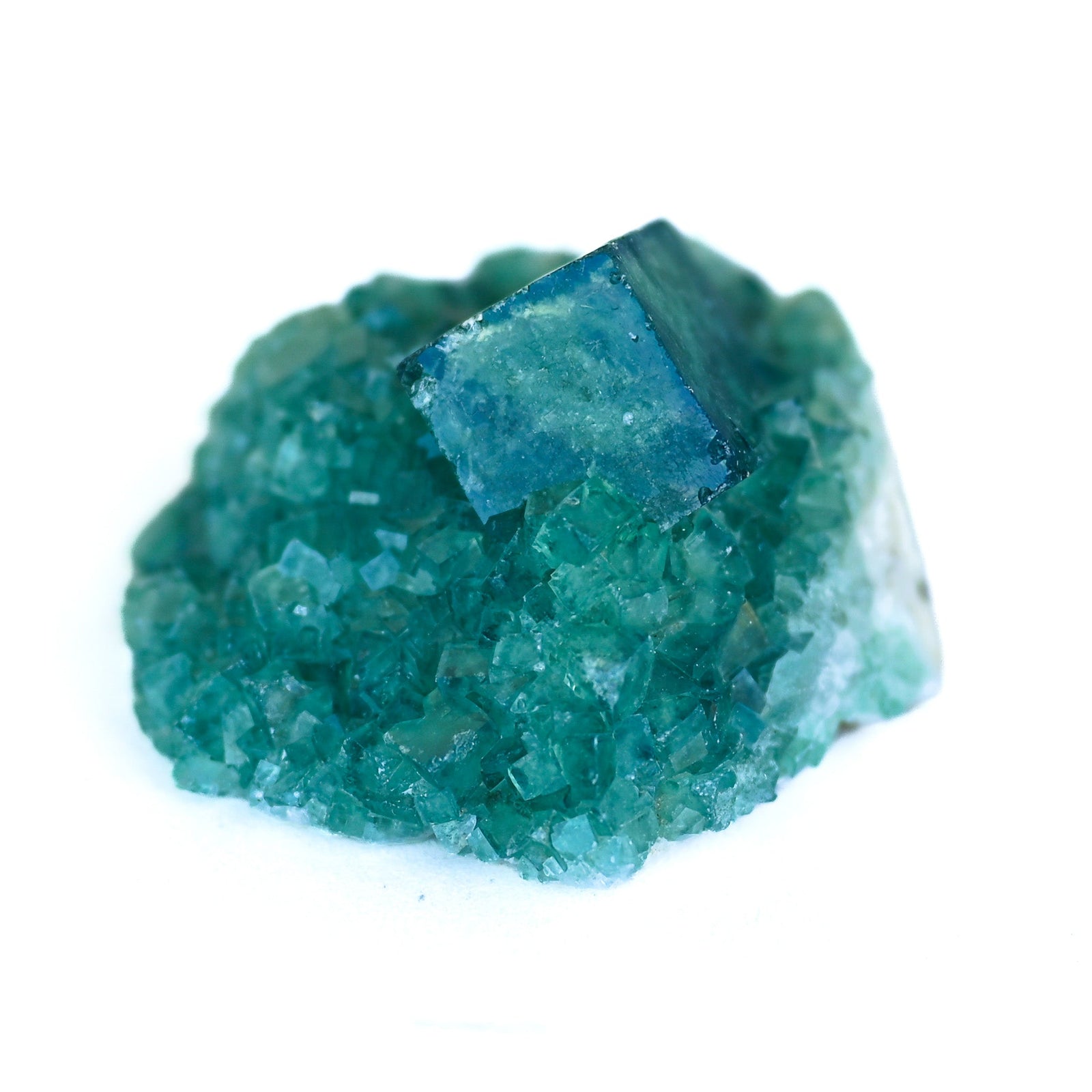 Fluorine Verte