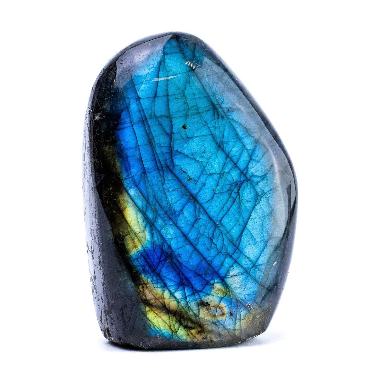 Labradorite Bleue Flash Forme libre