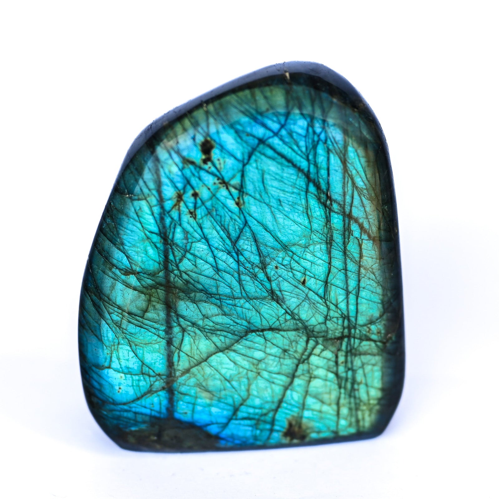 Labradorite Bleue Flash Forme libre