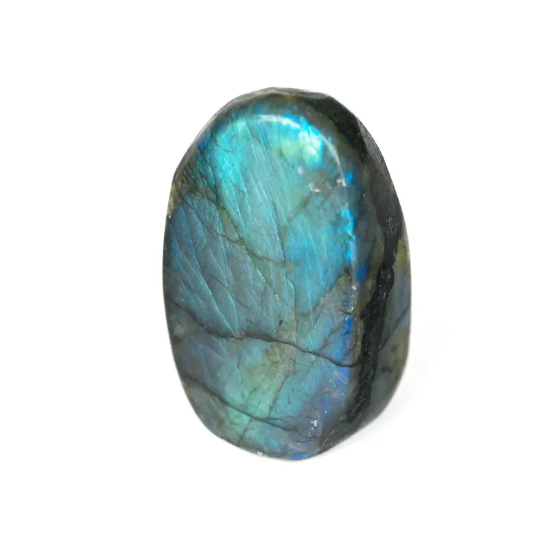 Labradorite Bleue Flash Forme libre