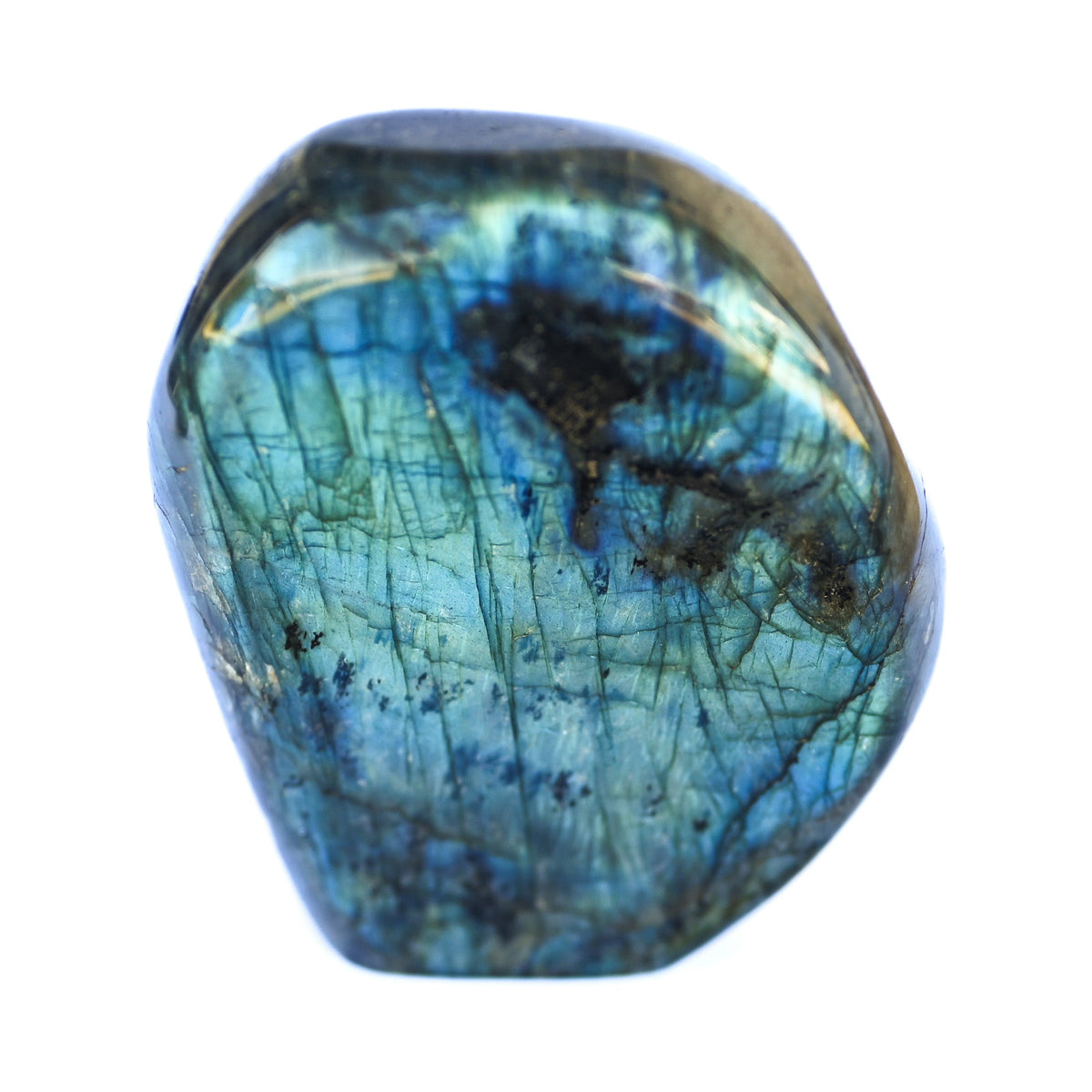 Labradorite Bleue Flash Forme libre