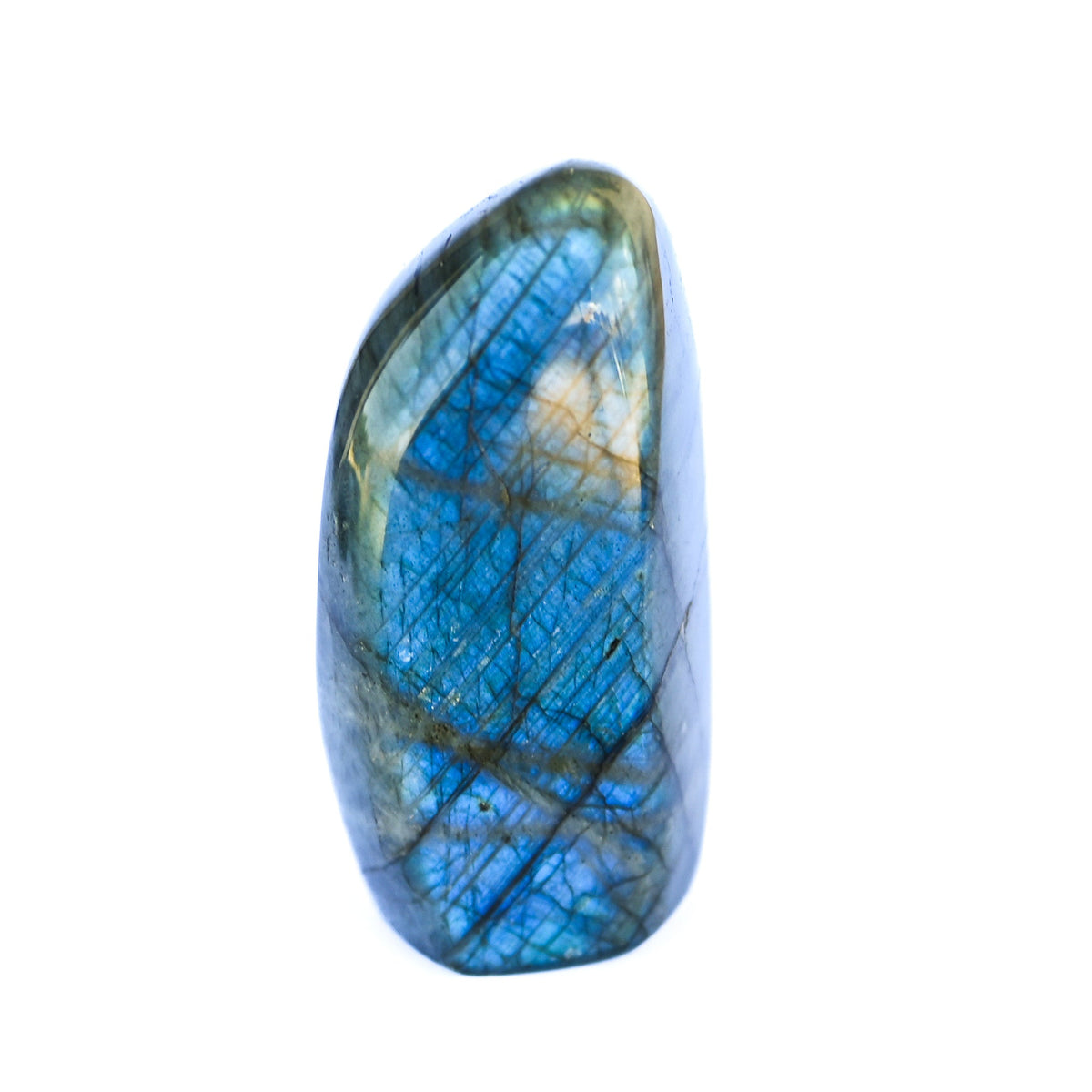 Labradorite Bleue Flash Forme libre