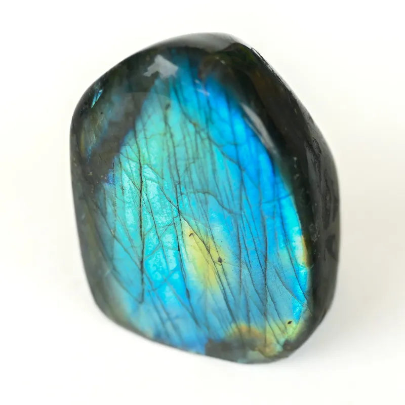 Labradorite Bleue Flash Forme libre