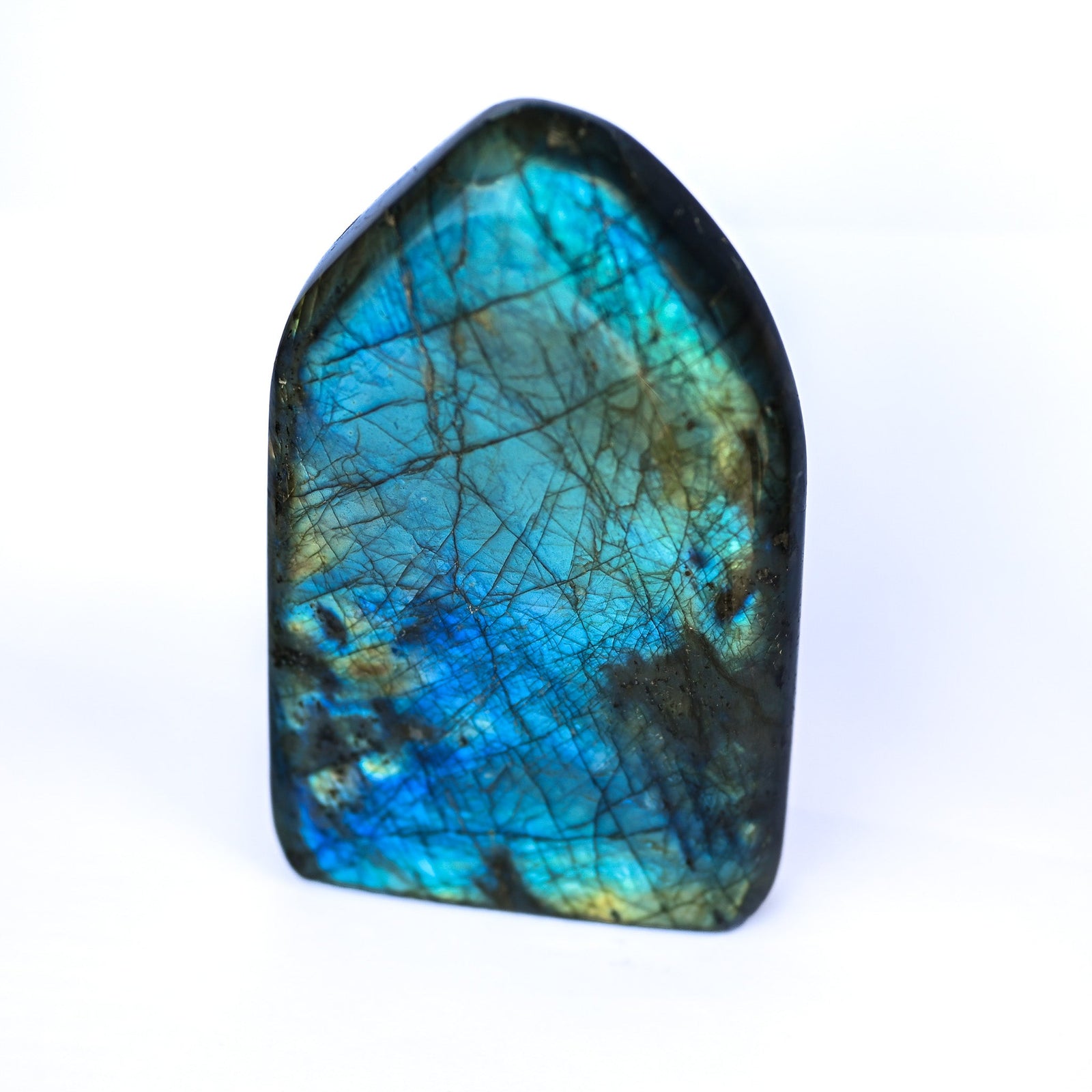 Labradorite Bleue Flash Forme libre